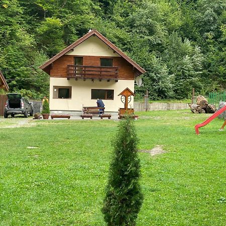 Villa Casuta Din Poiana Rau Sadului Exterior foto