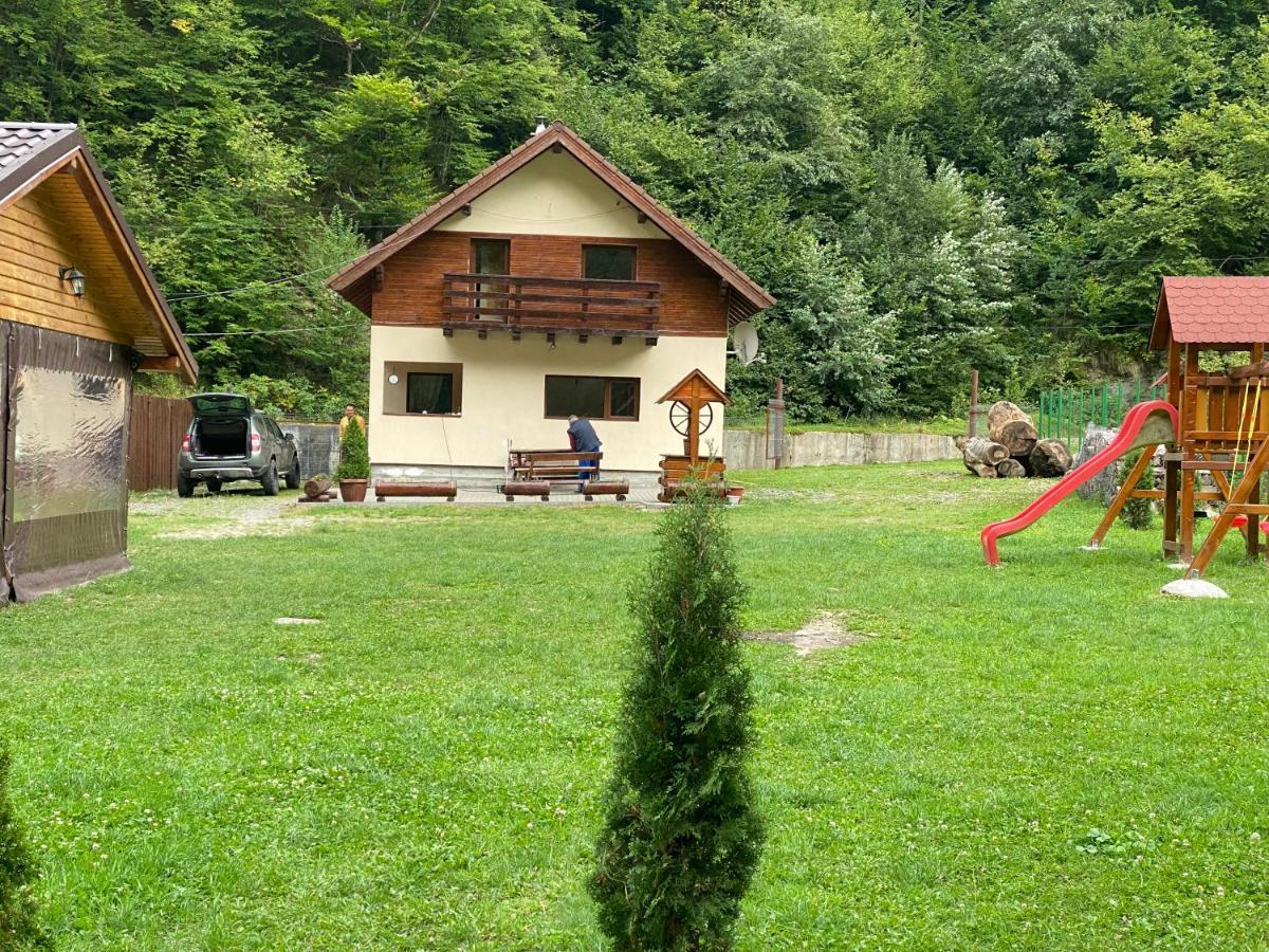 Villa Casuta Din Poiana Rau Sadului Exterior foto